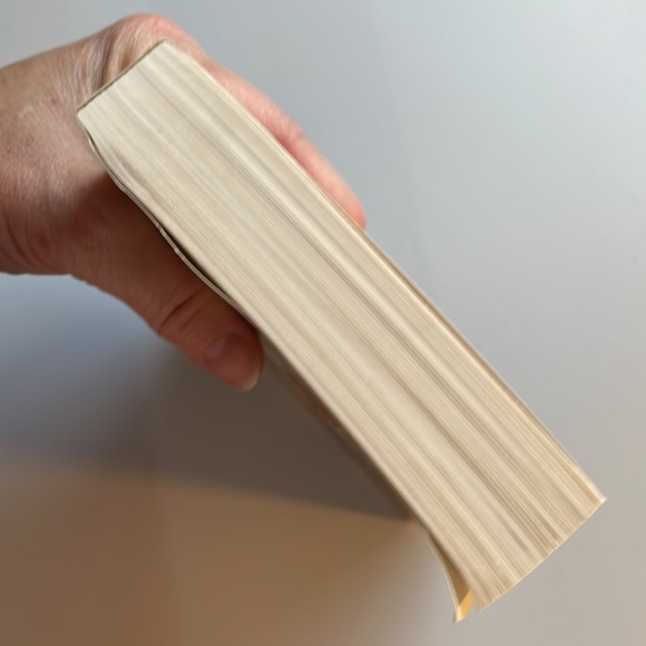 📚2/$6  Peter and the Secret of Rundoon #3 in Series - Picture 5 of 12